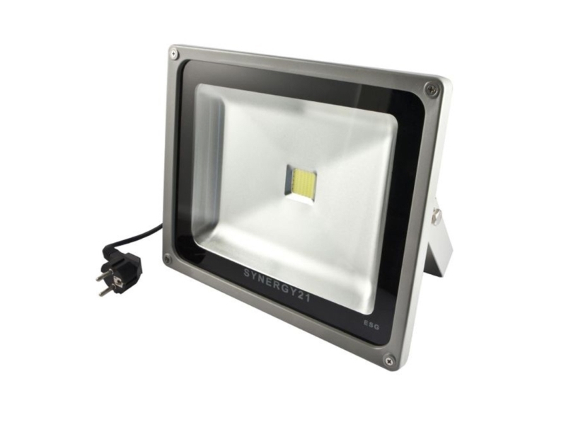 Synergy 21 Led Spot Outdoor Floodlight 30W Gray Housing Neutral White V2