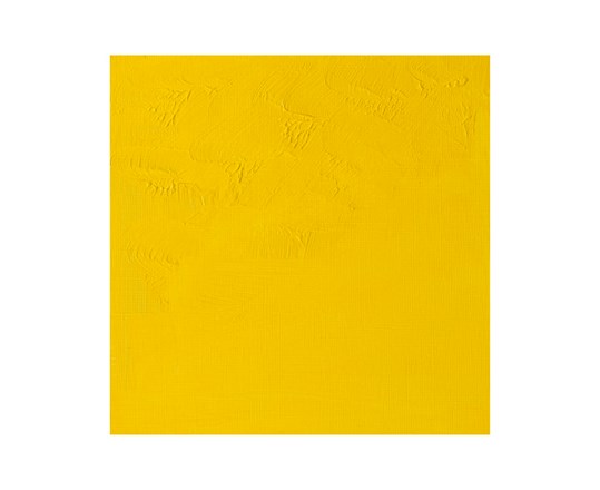 Artisan Water Mix Oil 37M Cad Yellow Light 113