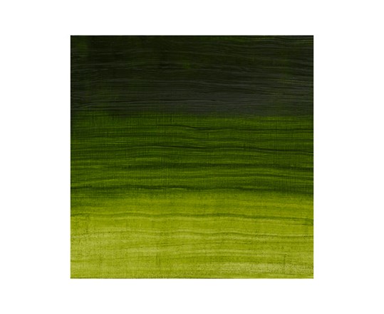 Artisan Water Mix Oil 37Ml Permanent Sap Green 503