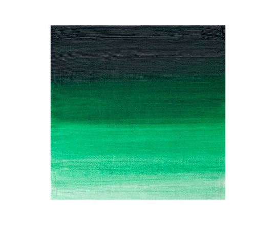 Artists Oil Colour 37Ml Winsor Green 721