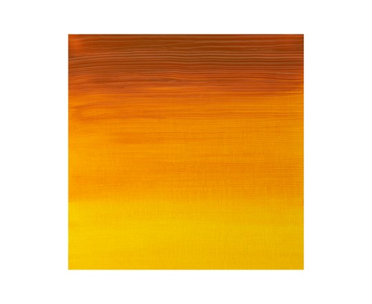 Artists Oil Colour 37Ml Indian Yellow 319