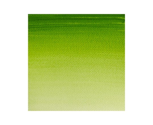 Cotman Watercolour 1/2 Pan Sap Green 599