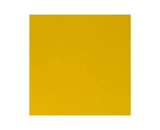 Proff. Acrylic 60Ml Azo Yellow Medium 019