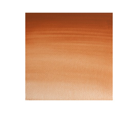 Watercolour Proff. 1/2 Pan Magnesium Brown 381