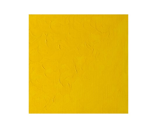 Winton Oil 37Ml Cadmium Yellow Pale Hue 119