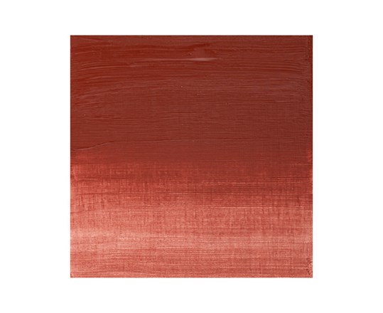 Winton Oil 37Ml Indian Red 317