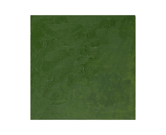 Winton Oil 37Ml Oxide Of Chromium 459