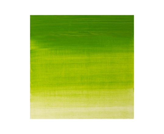 Winton Oil 37Ml Chrome Green Hue 145