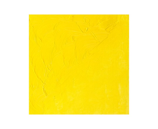 Winton Oil 37Ml Cadmium Lemon Hue 087