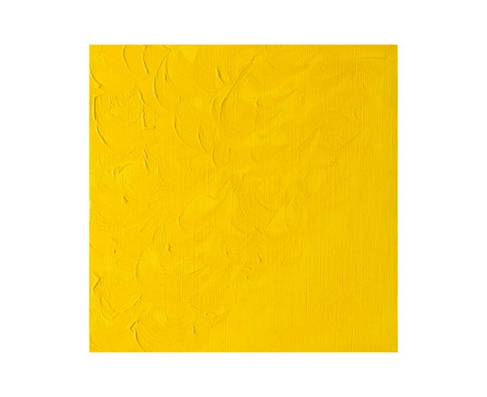 Winton Oil 37Ml Chrome Yellow Hue 149