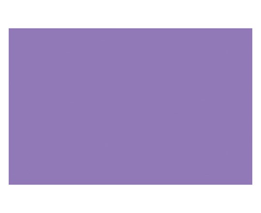 Ac Spray 400Ml Brilliant Purple 0590