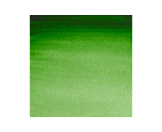 Watercolour Proff. 1/2 Pan Hookers Green 311