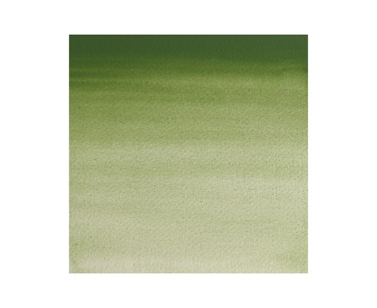 Watercolour Proff. 1/2 Pan Oxide Chromium 459