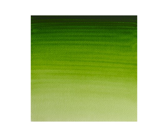 Watercolour Proff. 1/2 Pan Permanent Sap Green 503