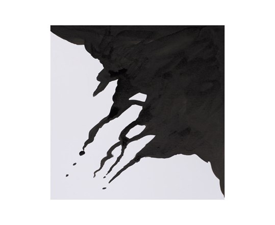 Drawing Ink 30Ml Liquid Indian 754
