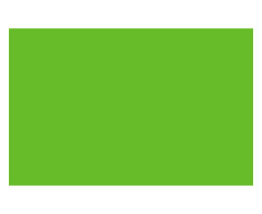 Ac Spray 400Ml Vivid Lime Green 740