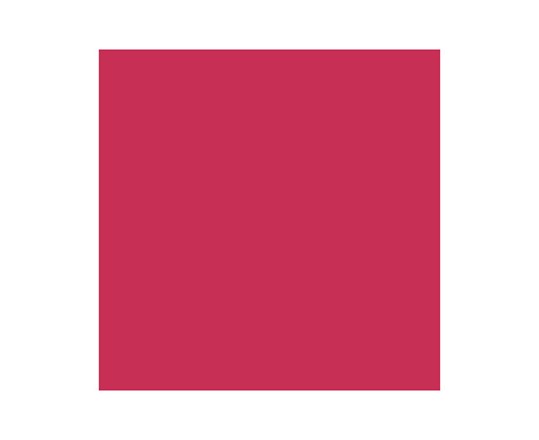 Pigment Marker Winsor Red Deep 725