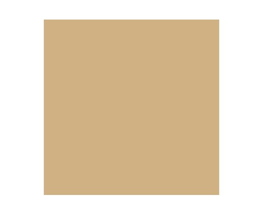 Vallejo Vallejo Farbe Nr123 Dunkel Sand Matt 17Ml - 70847