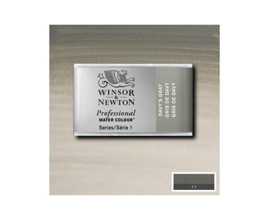 Watercolour Proff Pan Davys Grey 217