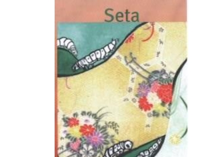 Seide | Alessandro Baricco | Sprache: Ita