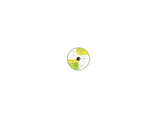 Gram Disc, Englisch | Paulette Møller | Sprache: Englisch