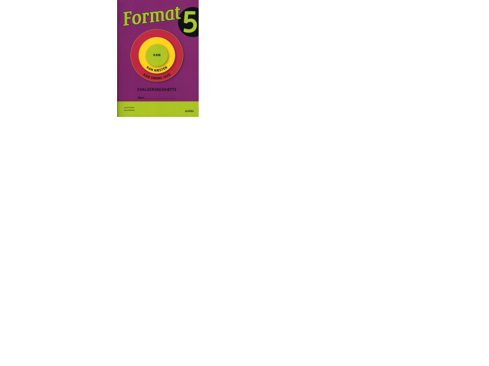 Format 5, Evaluringshæfte | Lone Anesen, Nina Winther