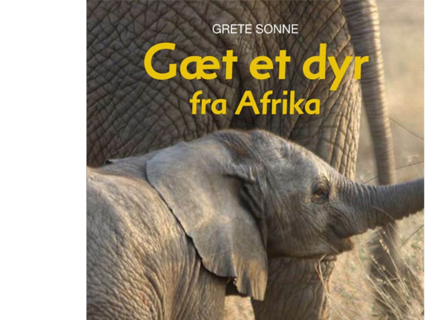 Mini Ps, Gæt Et Dyr Fra Afrika | Grete Sonne