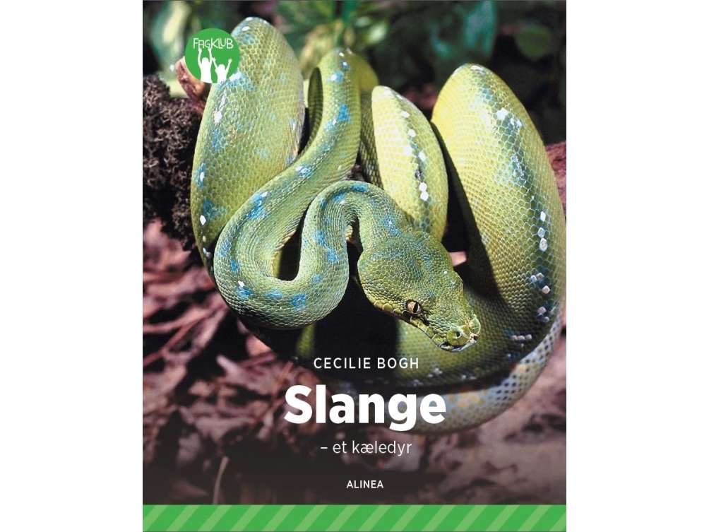 Schlange - Ein Haustier, Green Professional Club | Cecilie Bogh | Sprache: Dänish