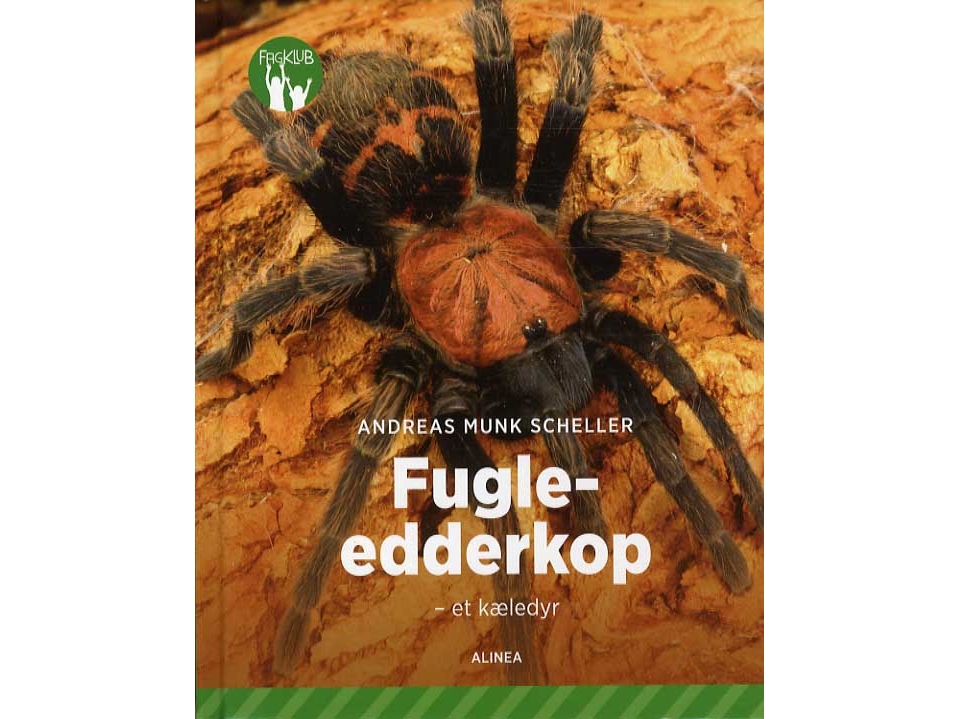 Fugleedderkop – Et Kæledyr, Grøn Fagklub | Andreas Munk Scheller