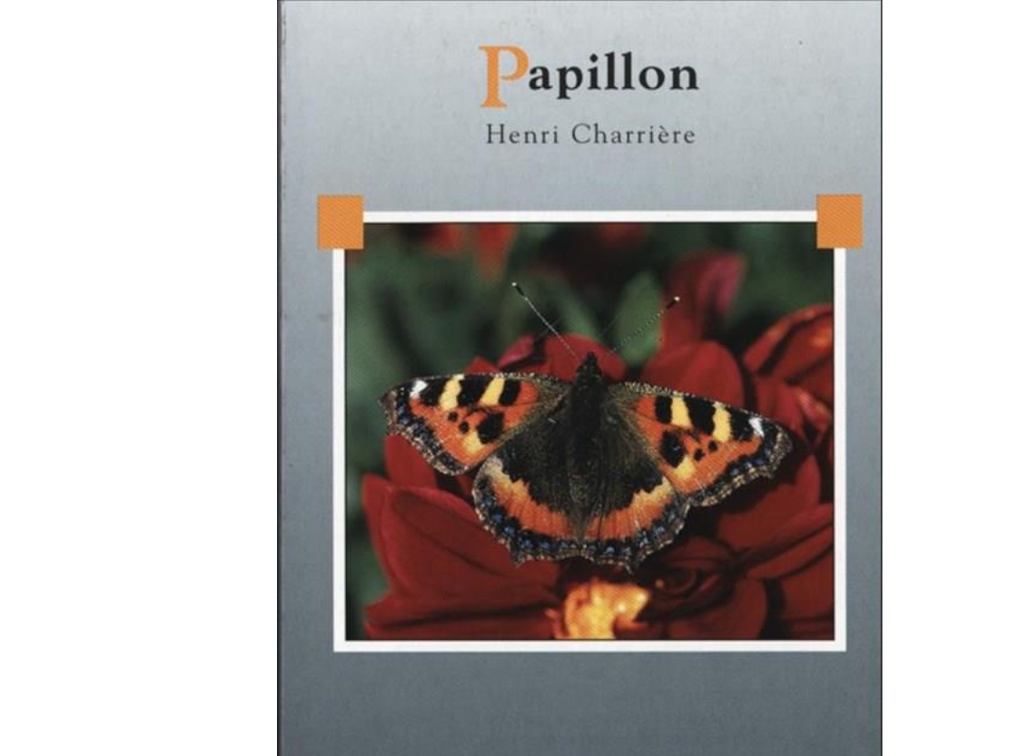 Papillon, D | Henri Charrière