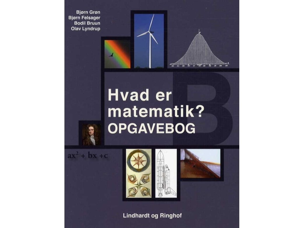 Hvad Er Matematik? B, Opgavebog | Bjørn Grøn, Bjørn Felsager, Bodil Bruun, Olav Lyndrup | Sprache: Dänish