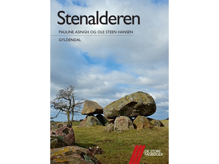 Stenalderen | Ole Steen Hansenpauline Asingh