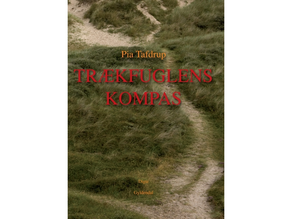 Trækfuglens kompas | Pia Tafdrup