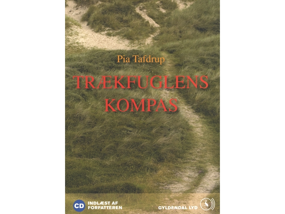 Trækfuglens kompas | Pia Tafdrup
