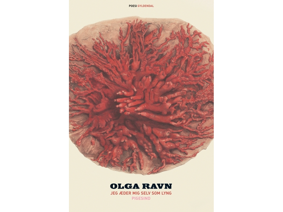 Jag äter mig själv som ljung Olga Ravn Språk: Danska | Böcker - Skönlitteratur - Dikter | GameStuff