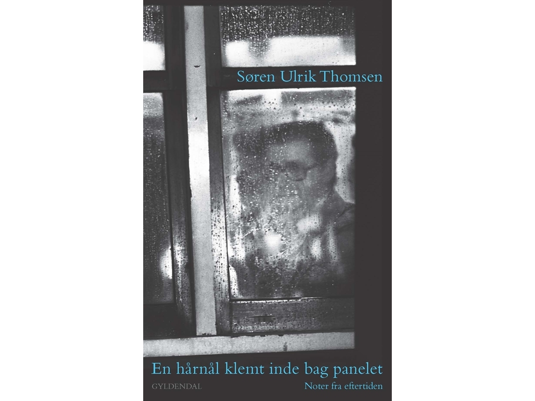 En Hårnål Klemt Inde Bag Panelet | Søren Ulrik Thomsen