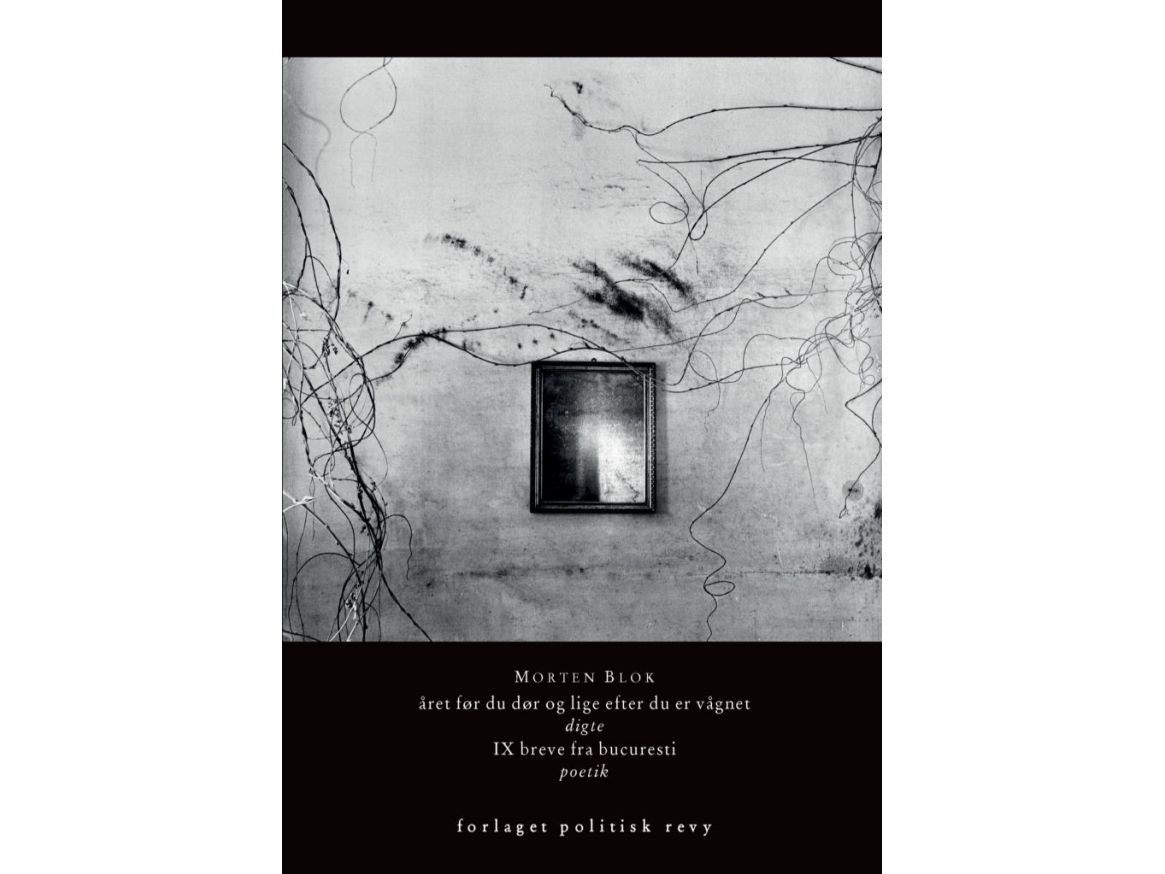 året før du dør og lige efter du er vågnet | Morten Blok