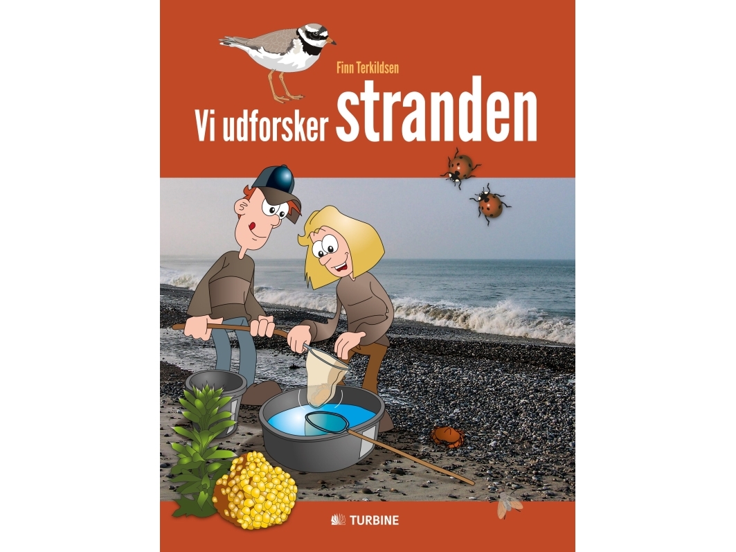Vi Udforsker Stranden | Finn Terkildsen