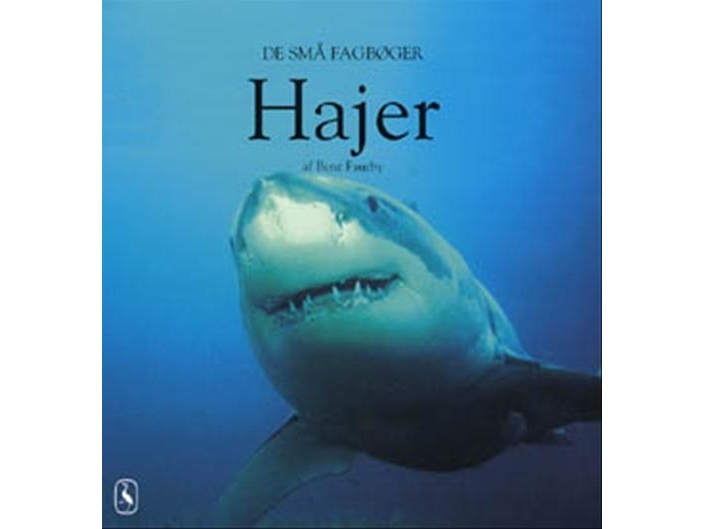Hajer | Bent Faurby