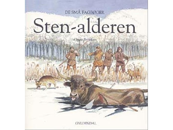 Die Steinzeit | Inger Byrjalsen | Sprache: Dänish