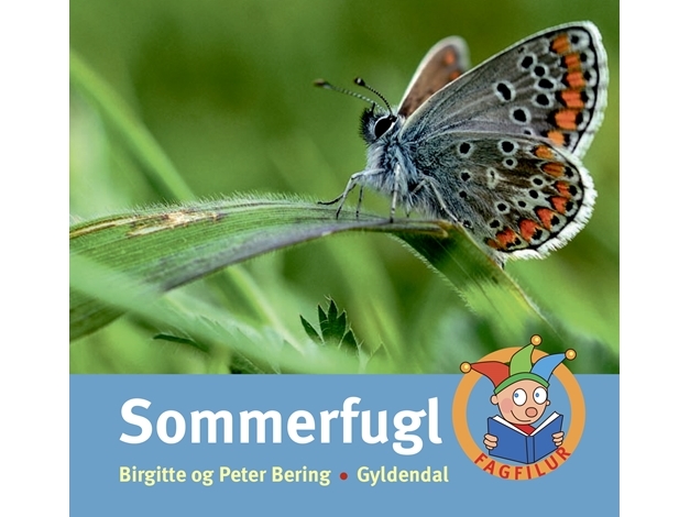 Sommerfugl | Peter Bering Birgitte Bering