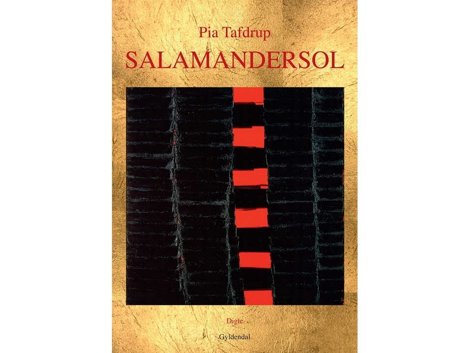 Salamandersol | Pia Tafdrup