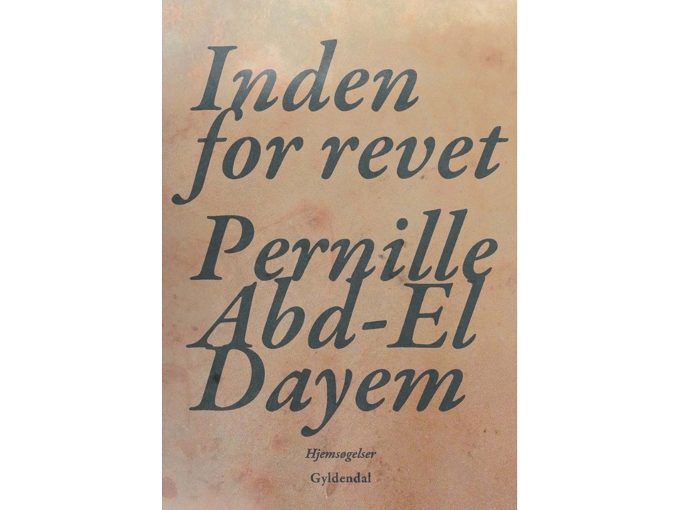 Inden For Revet | Pernille Abd-El Dayem
