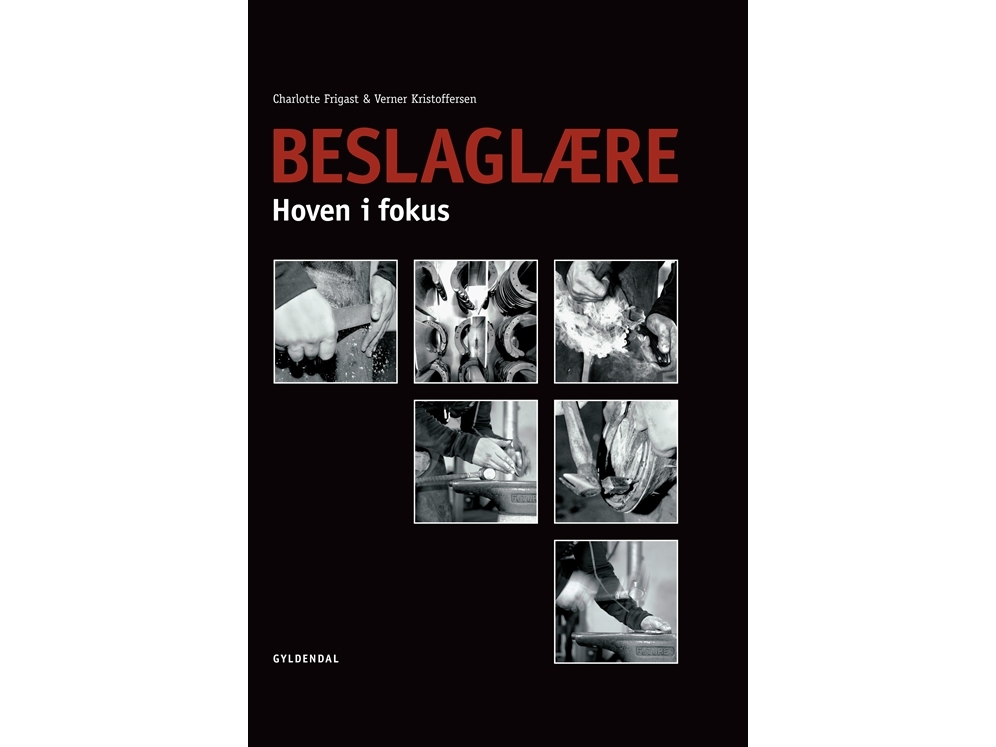 Beslaglære | Verner Kristoffersen Charlotte Frigast