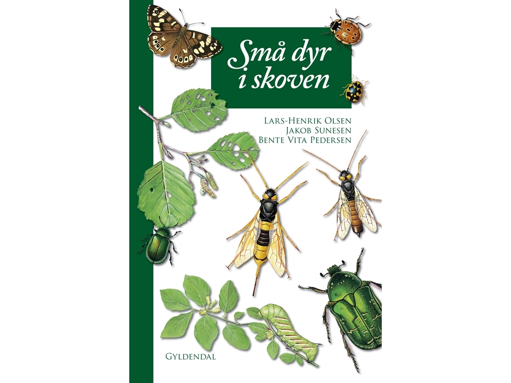 Små dyr i skoven | Lars-Henrik Olsen