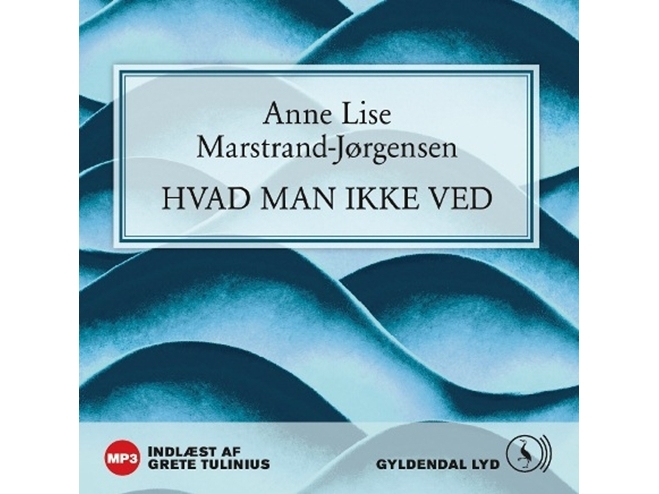 Hvad man ikke ved | Anne Lise Marstrand-Jørgensen