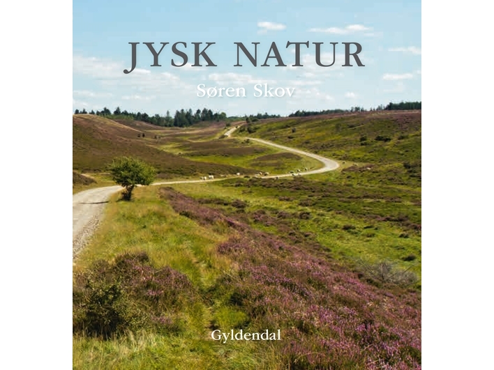 Jysk natur | Søren Skov