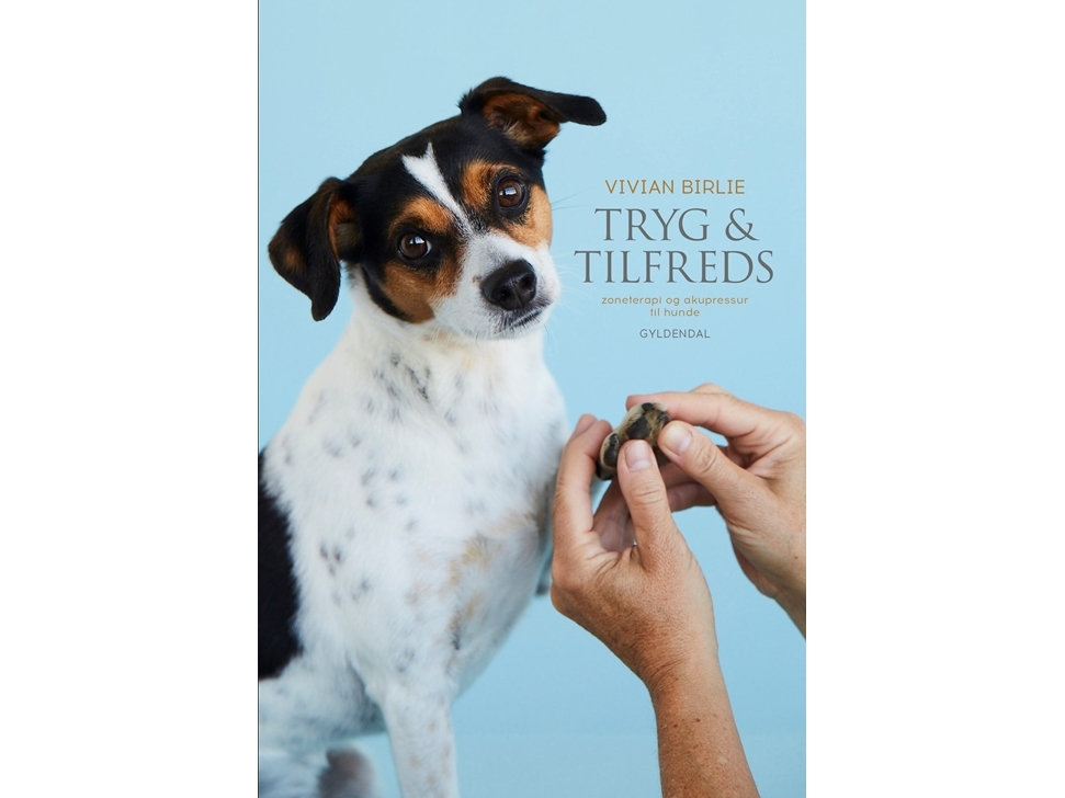 Tryg og tilfreds | Vivian Birlie