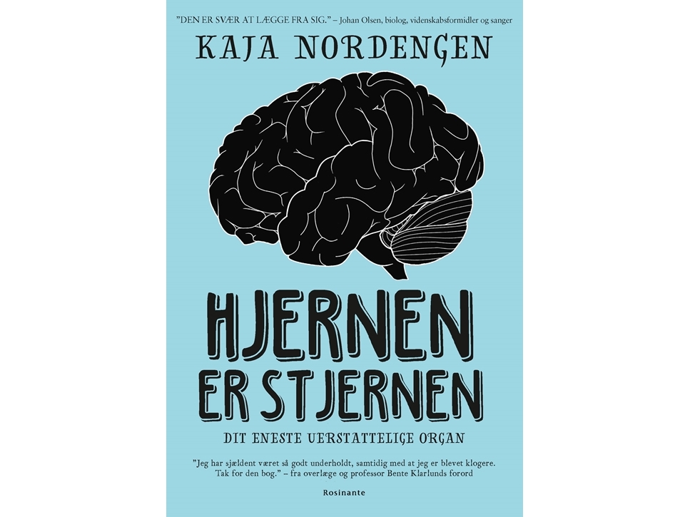 Hjernen er stjernen | Kaja Nordengen