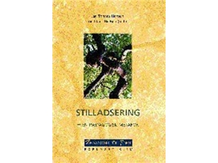 Stilladsering - En Pædagogisk Metafor | Tove Klausenmariane Hedegaardhelle Alrøjens Rasmussenklaus Nielsenchristian Jantzenjan Tønnes Hansenjens Raah